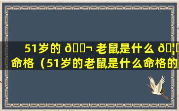 51岁的 🐬 老鼠是什么 🦊 命格（51岁的老鼠是什么命格的人）